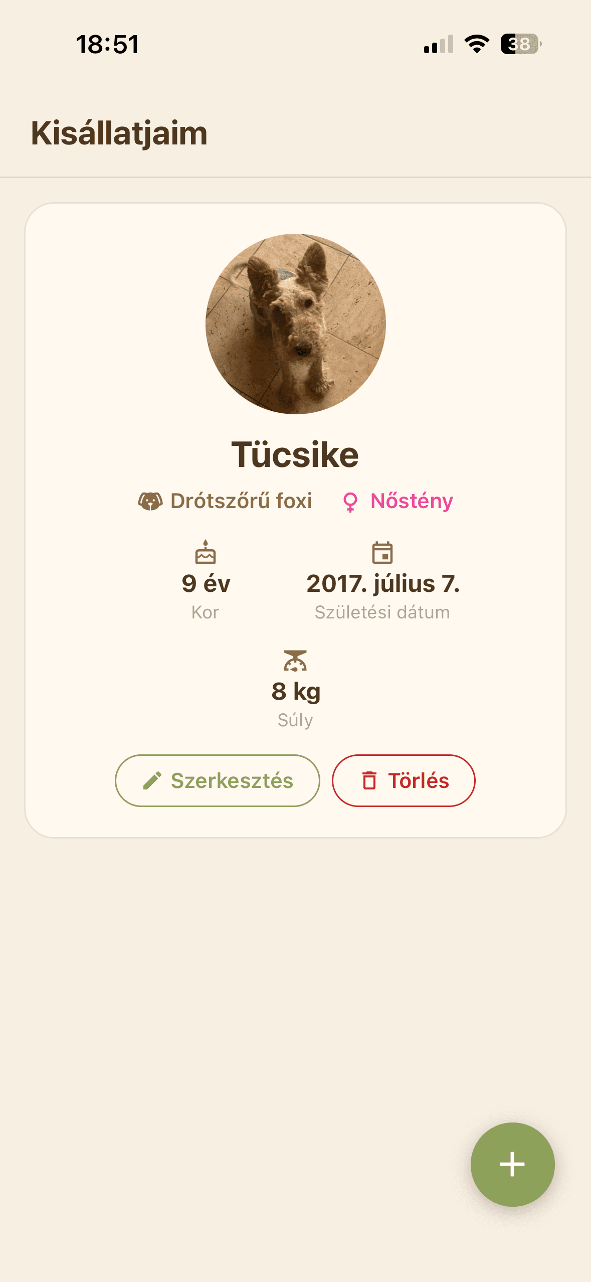 További alkalmazásnézet